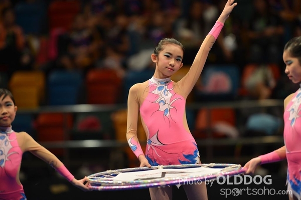 Gymnastics (261)