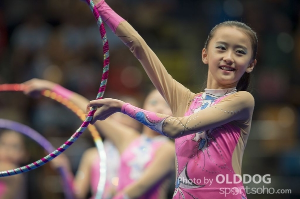 Gymnastics (267)