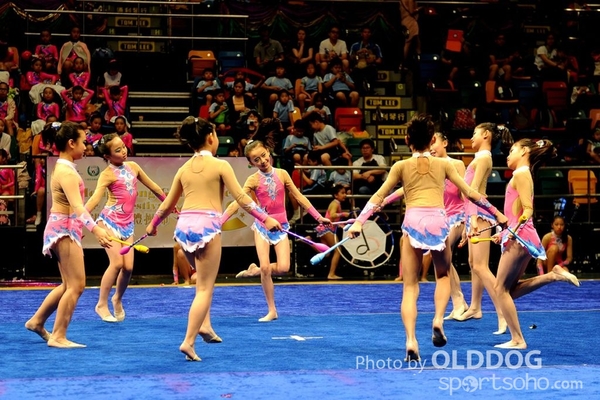 Gymnastics (269)