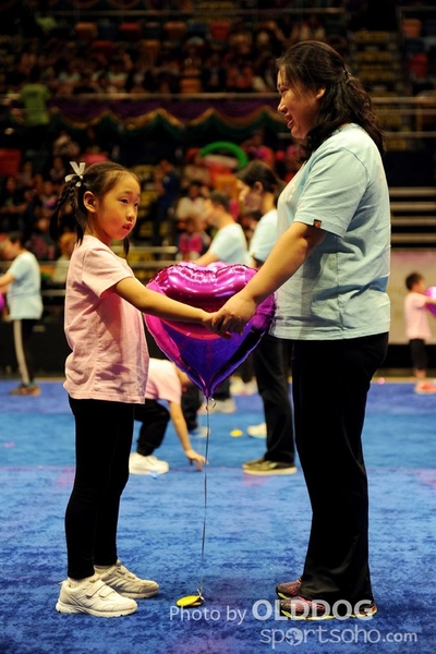 Gymnastics (271)