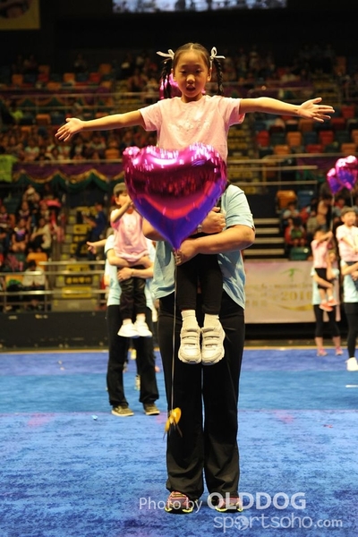 Gymnastics (273)