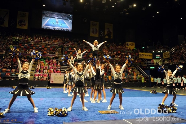Gymnastics (282)