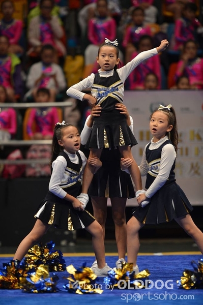 Gymnastics (288)