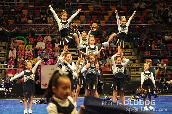 Gymnastics (290)