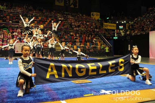 Gymnastics (291)