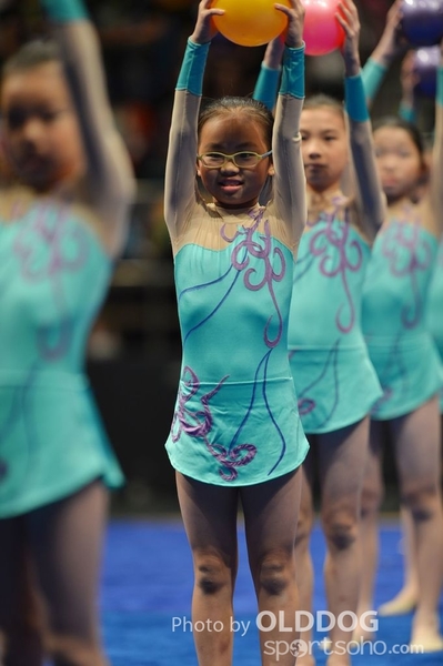 Gymnastics (294)
