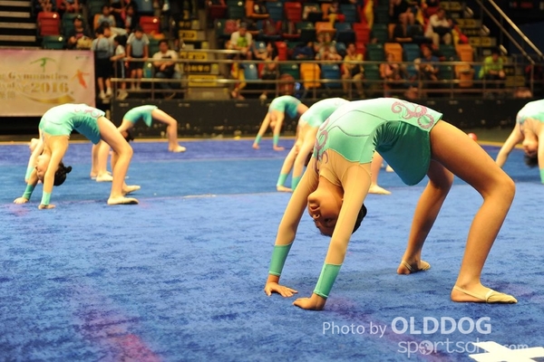 Gymnastics (296)