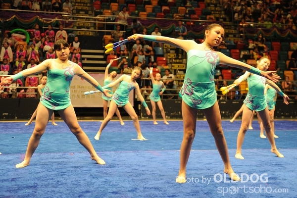 Gymnastics (297)