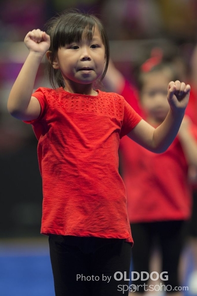 Gymnastics (301)