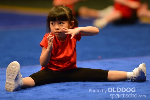 Gymnastics (302)