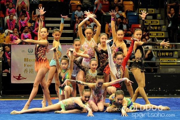 Gymnastics (304)