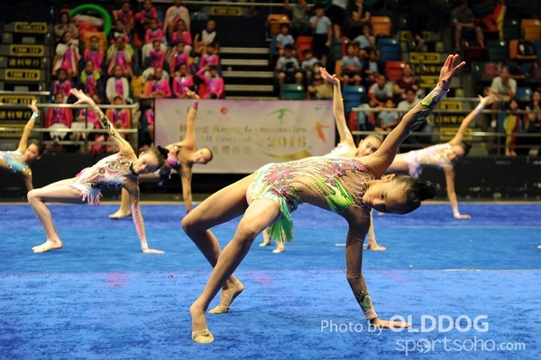 Gymnastics (305)