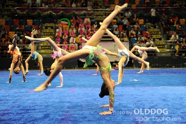 Gymnastics (306)