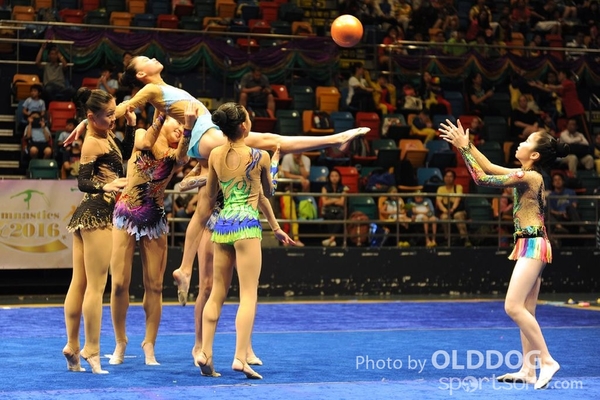 Gymnastics (309)