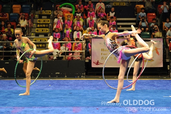 Gymnastics (310)