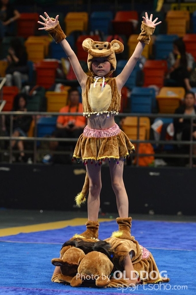 Gymnastics (342)