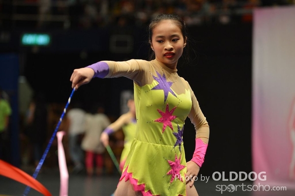 Gymnastics (348)
