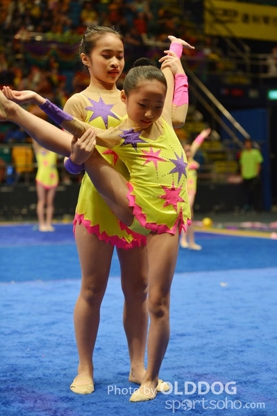 Gymnastics (350)