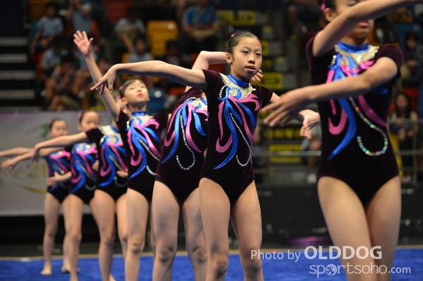 Gymnastics (361)