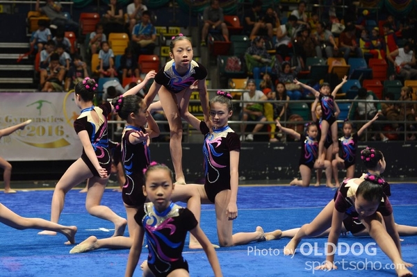 Gymnastics (363)