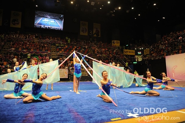 Gymnastics (374)