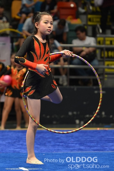 Gymnastics (377)