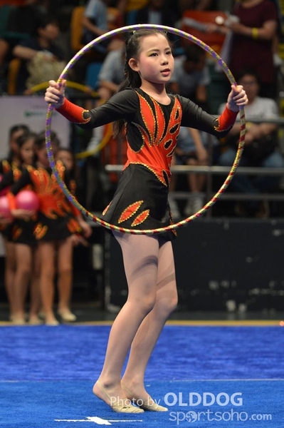 Gymnastics (378)