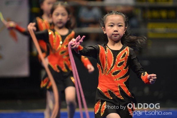 Gymnastics (383)