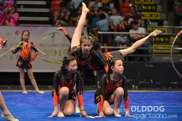 Gymnastics (386)