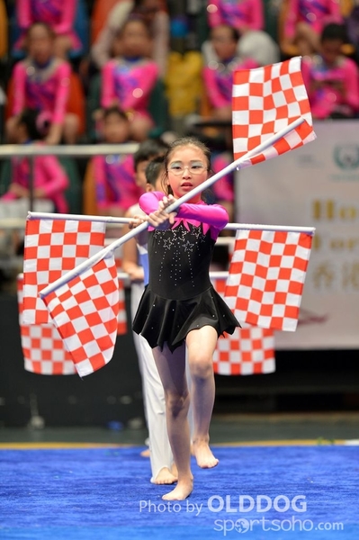 Gymnastics (387)