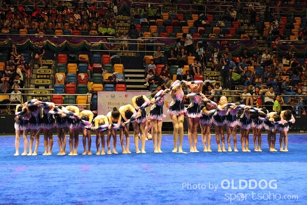 Gymnastics (431)