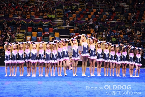 Gymnastics (432)
