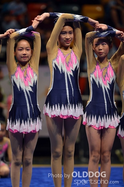 Gymnastics (433)