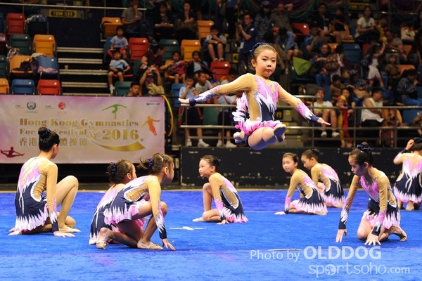 Gymnastics (434)
