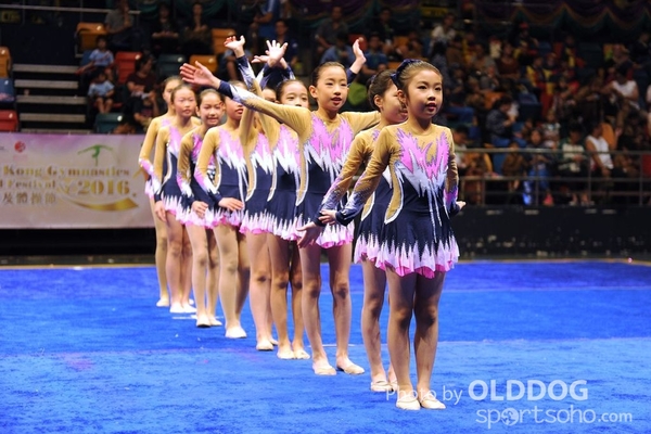 Gymnastics (435)