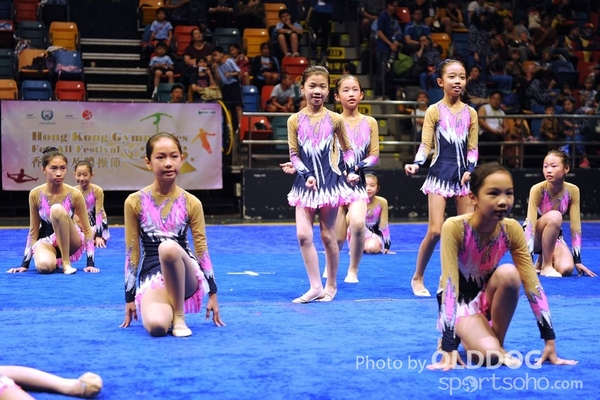 Gymnastics (436)