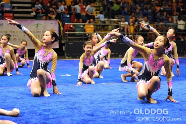 Gymnastics (437)