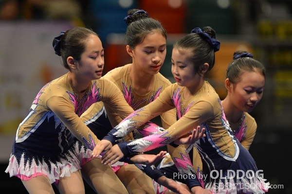 Gymnastics (438)