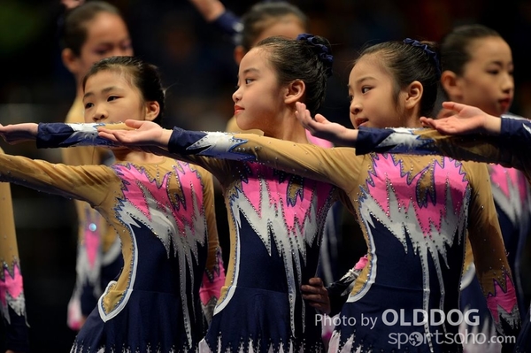 Gymnastics (440)