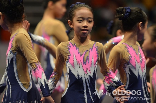 Gymnastics (441)