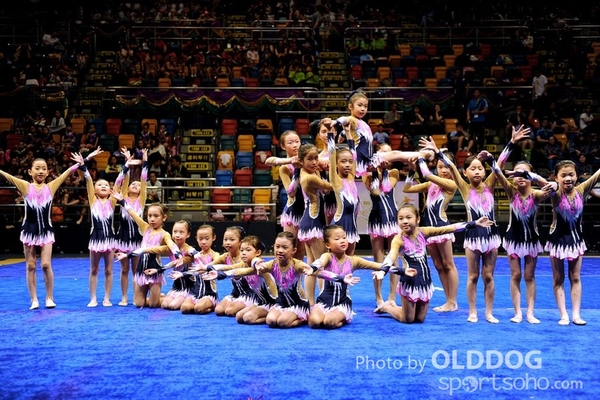 Gymnastics (442)