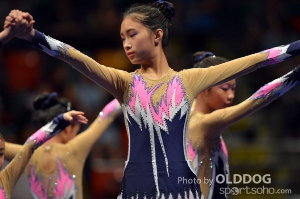 Gymnastics (443)
