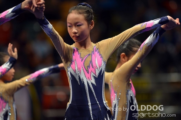 Gymnastics (444)