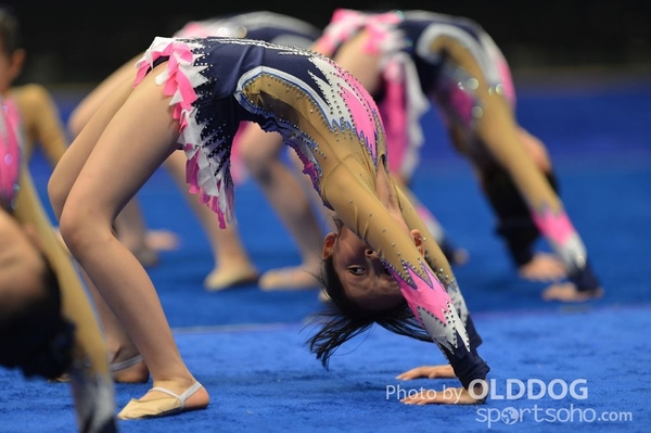 Gymnastics (445)