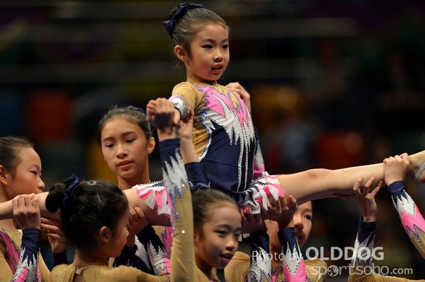 Gymnastics (446)
