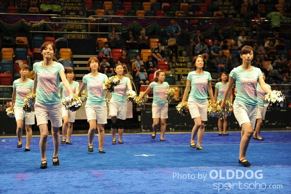 Gymnastics (447)