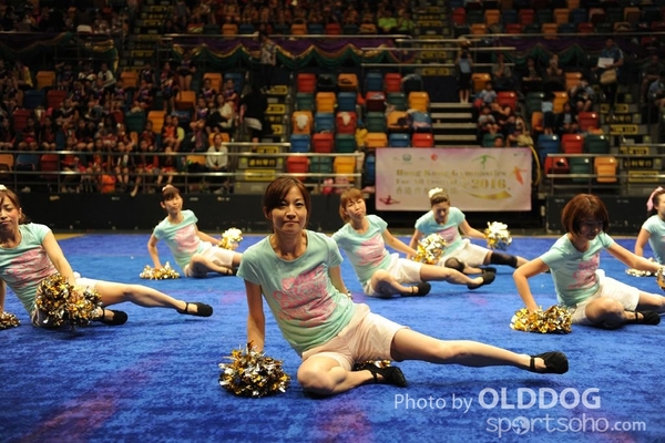 Gymnastics (449)