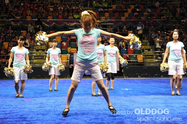 Gymnastics (451)
