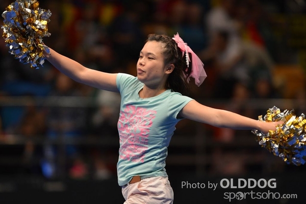 Gymnastics (452)