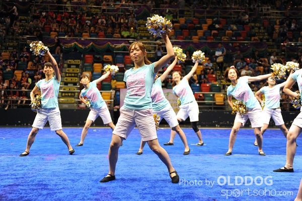 Gymnastics (453)